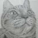 過去の一覧:貸ギャラリー