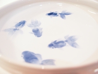 三輪 智栄 大皿金魚