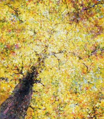 田中佐知男:黄色い空